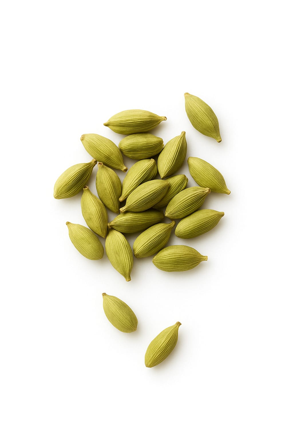 Cardamom